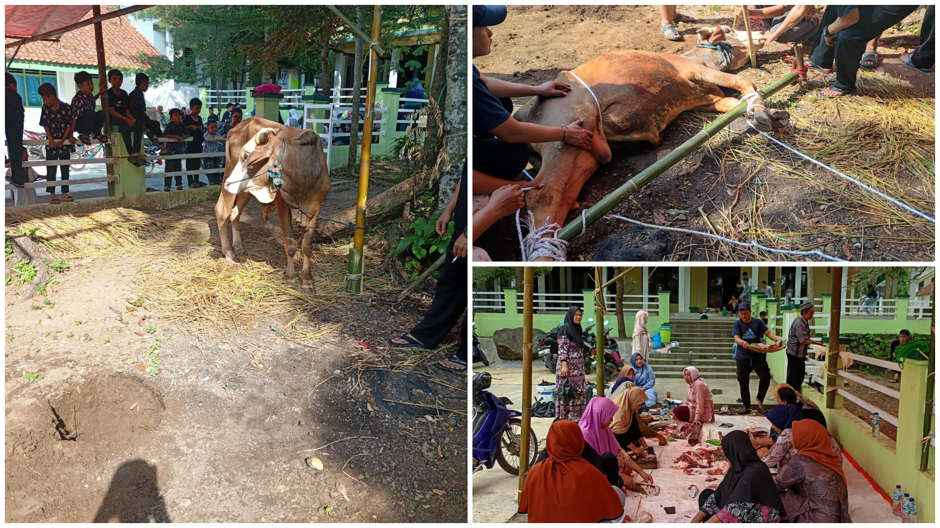 Pelaksanaan Qurban Idul Adha di Pesantren Al Munthohir Melalui Program Arisan Qurban Tahunan